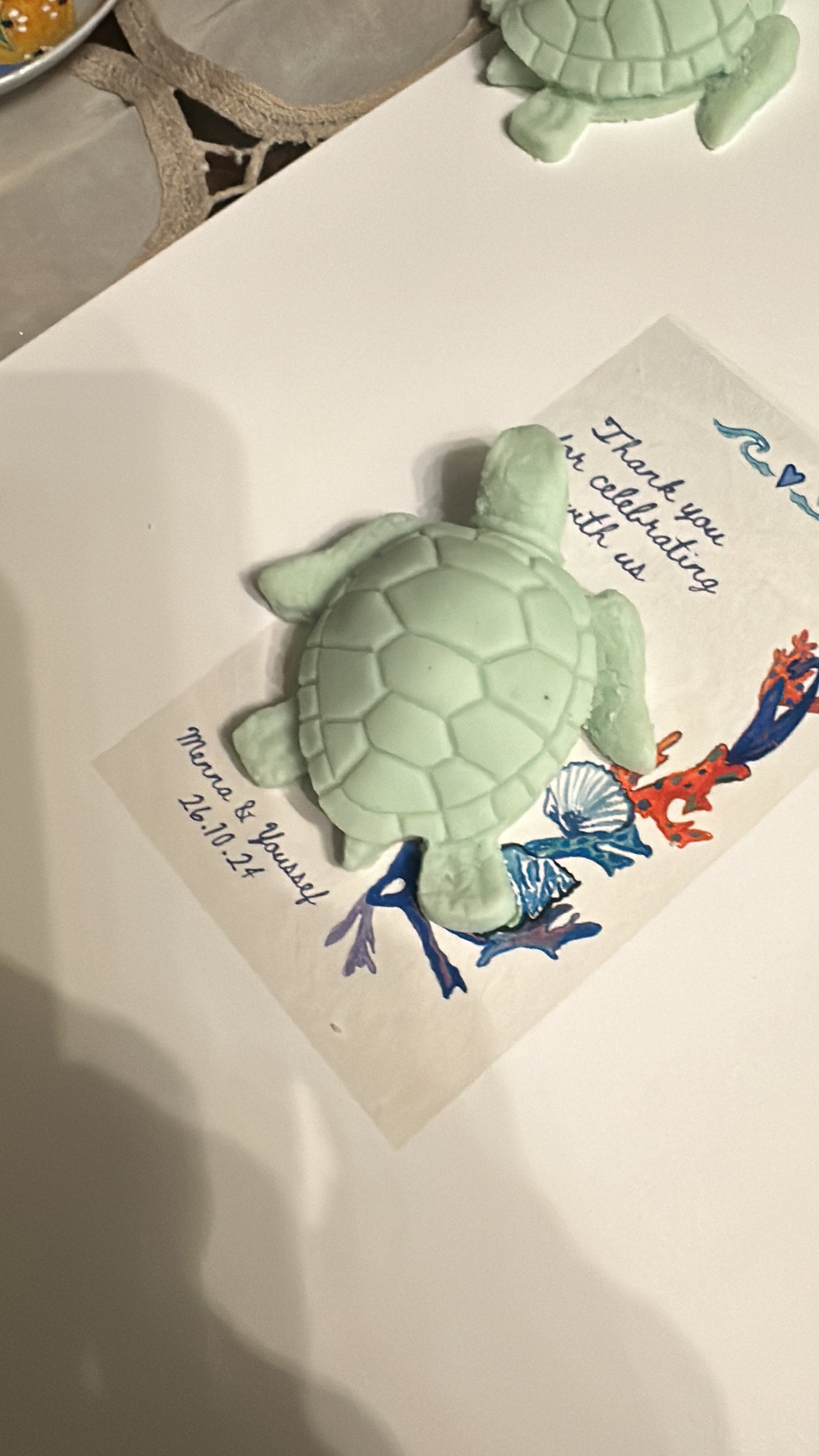Turtle Drift - by the Alchemist