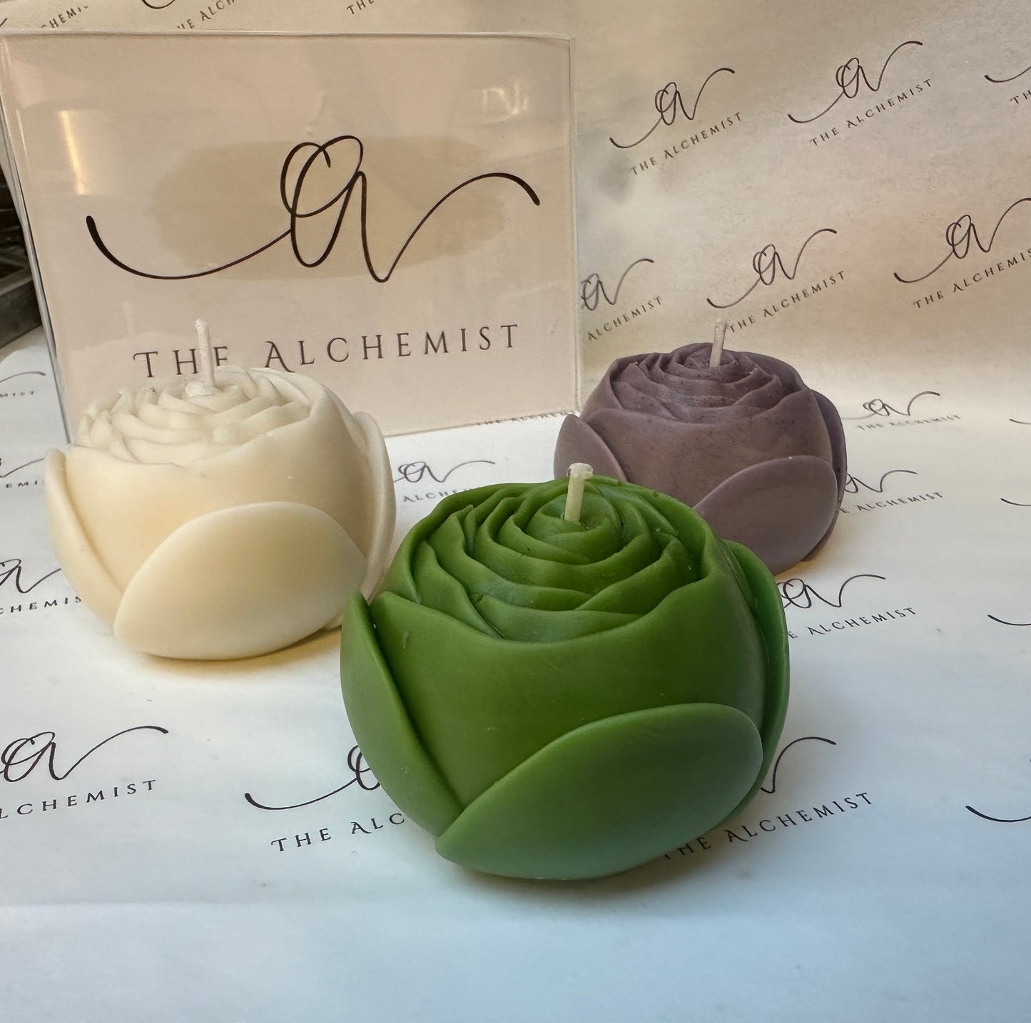 The Petal Reverie - by the Alchemist