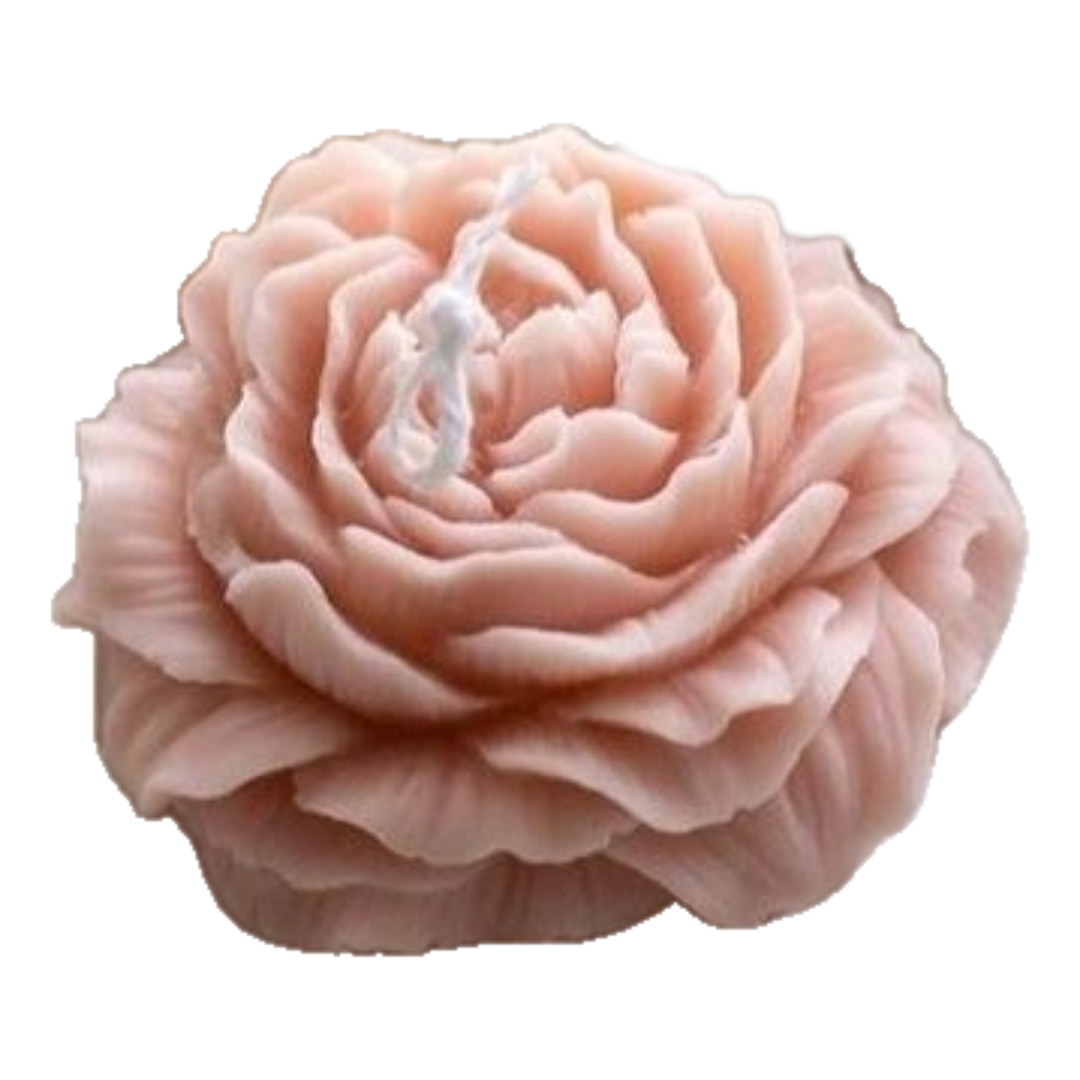 The Peony Candle - by the Alchemist