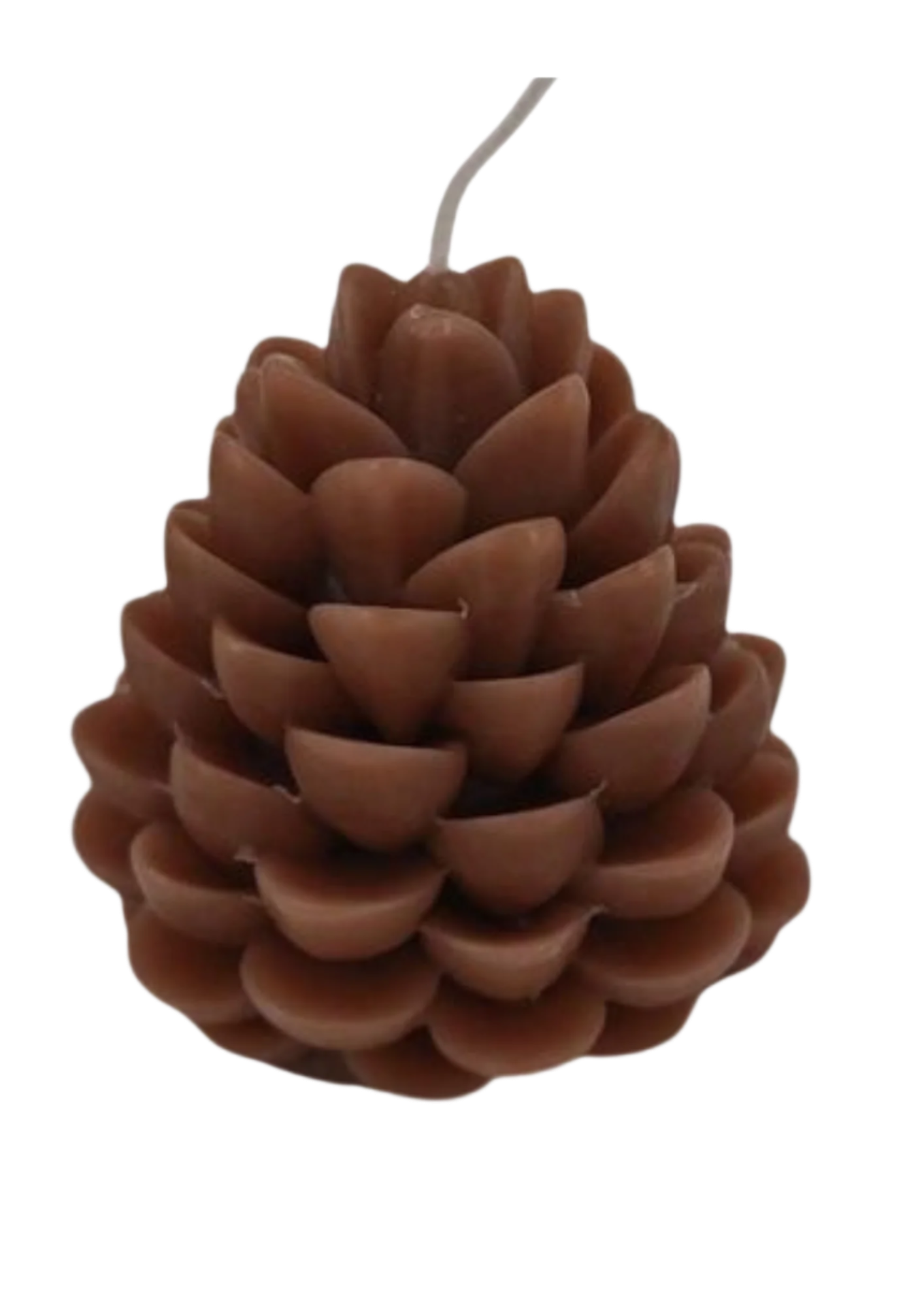 The Pine Cone Candle - by the Alchemist