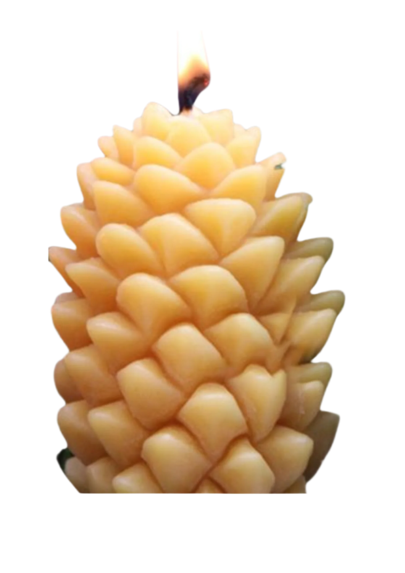 The Pine Cone Candle - by the Alchemist