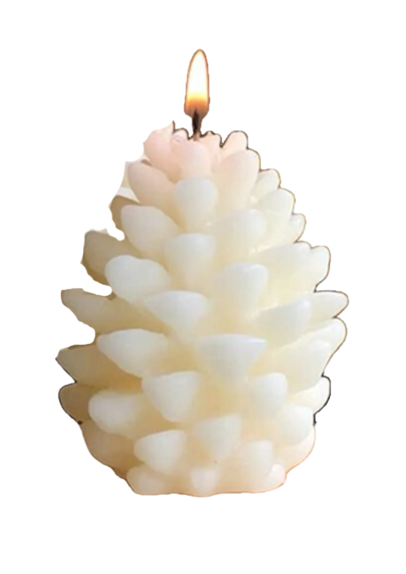 The Pine Cone Candle - by the Alchemist