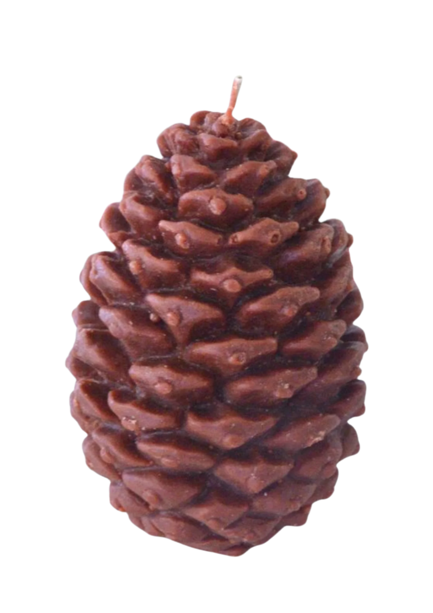 The Pine Cone Candle - by the Alchemist