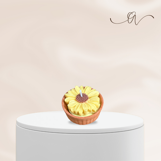 The Daisy Pot - By The Alchemist