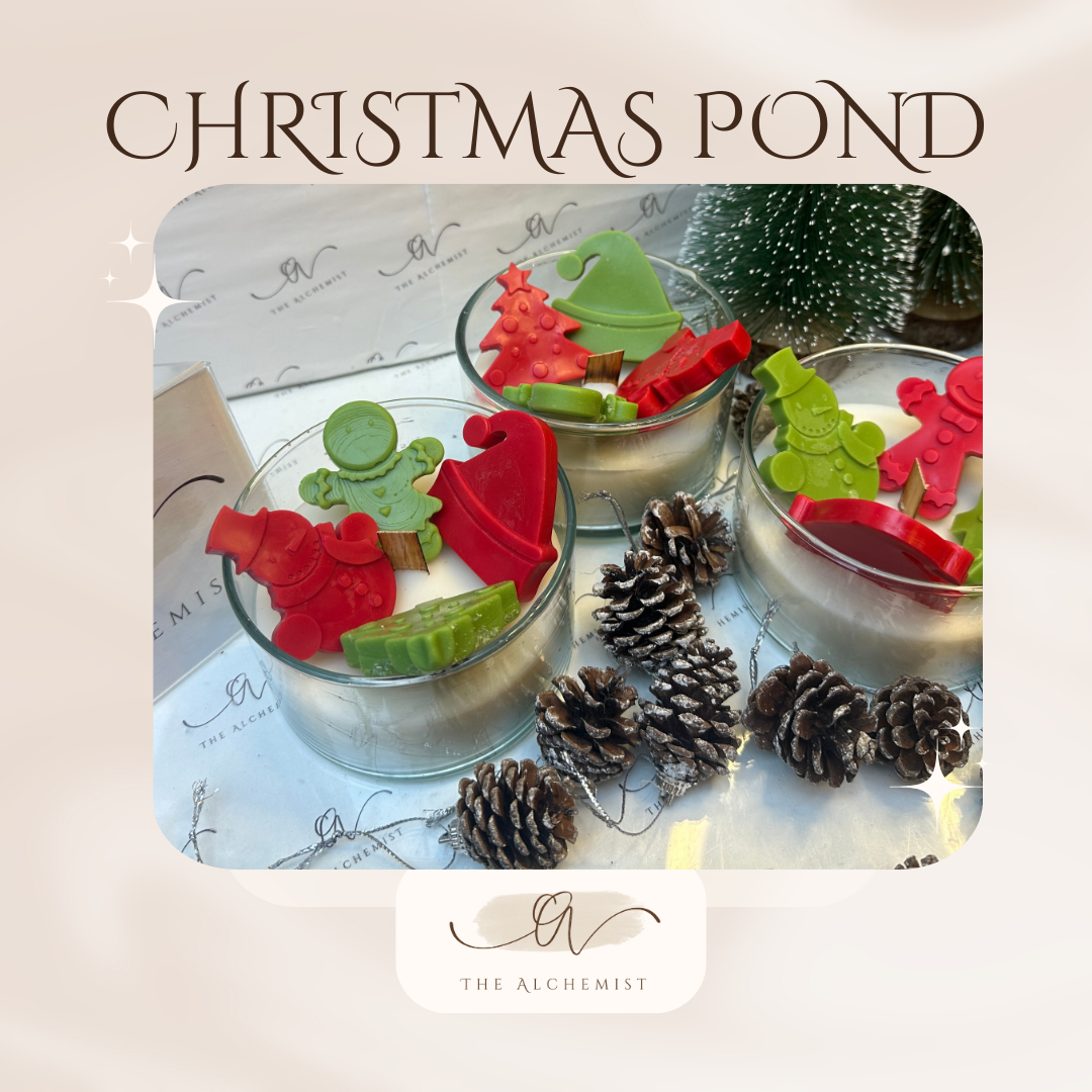 Christmas pond - by the Alchemist