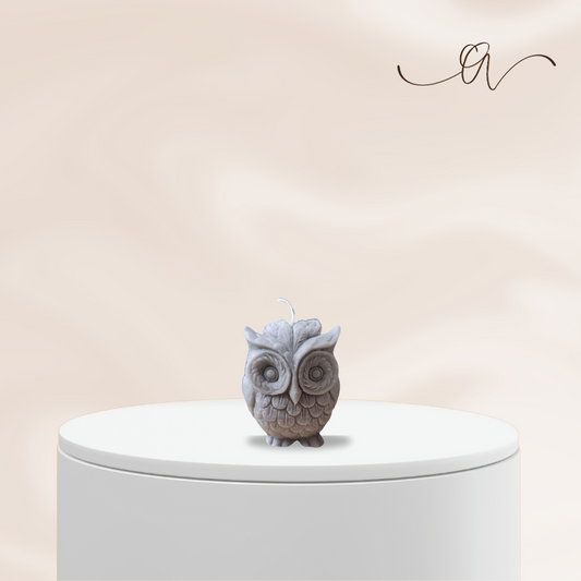 The Wise Owl- by the Alchemist