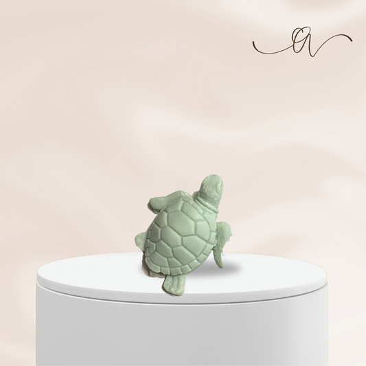 Turtle- by the Alchemist
