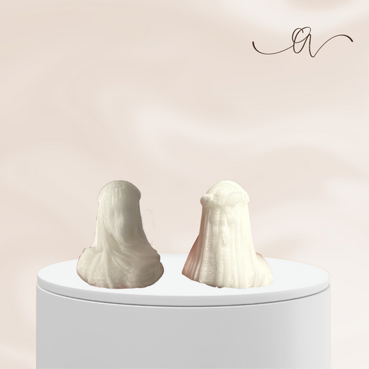 The Veiled Lady   - by the Alchemist